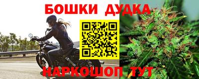 СК Гагарин