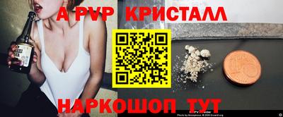 СК Гагарин