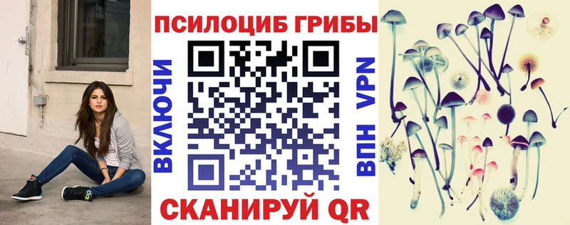 где можно купить   Новочебоксарск  Галлюциногенные грибы GOLDEN TEACHER 