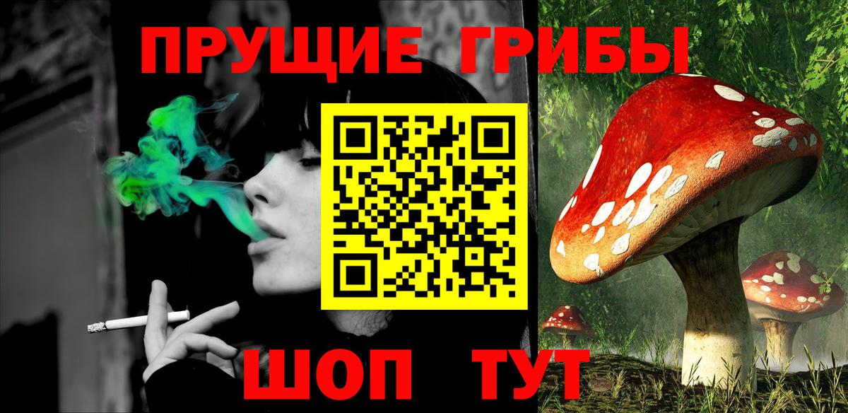 Новочебоксарск  Псилоцибиновые грибы мухоморы  Вход с VPN 