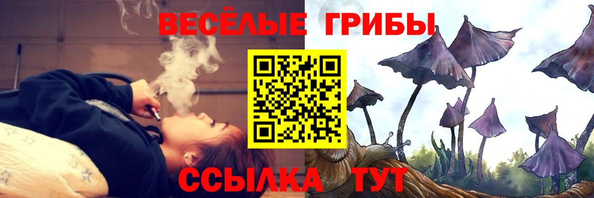 Псилоцибиновые грибы Magic Shrooms Новочебоксарск
